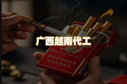 广西越南代工